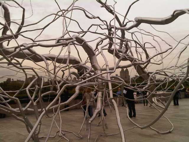 Img00113-20091012-1553