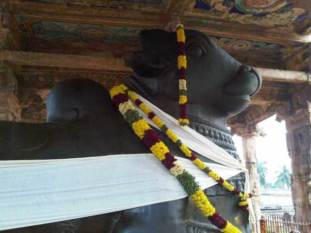 Img00040-20091130-1655