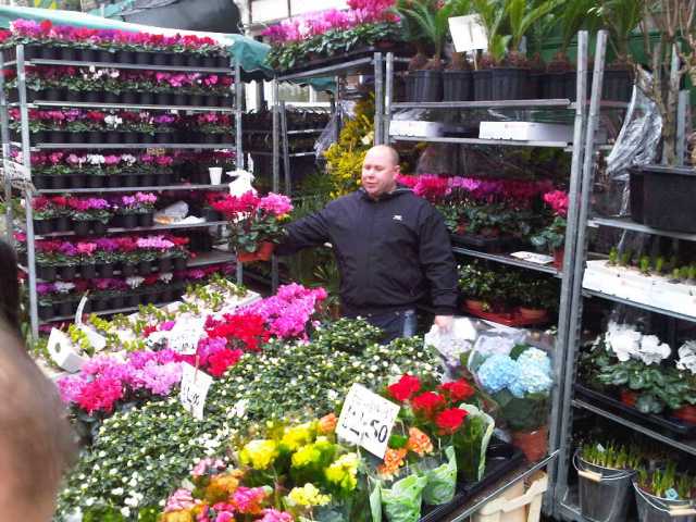 Img00135-20100124-1246