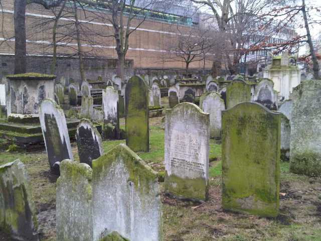 Img00132-20100124-1219