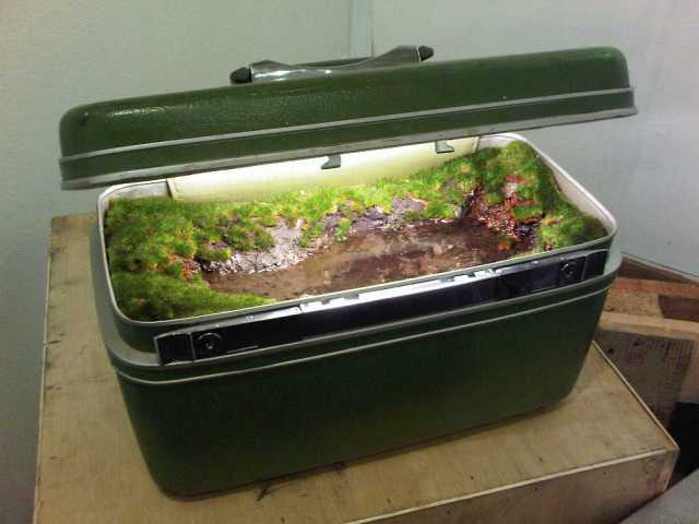 Img00318-20100505-2057