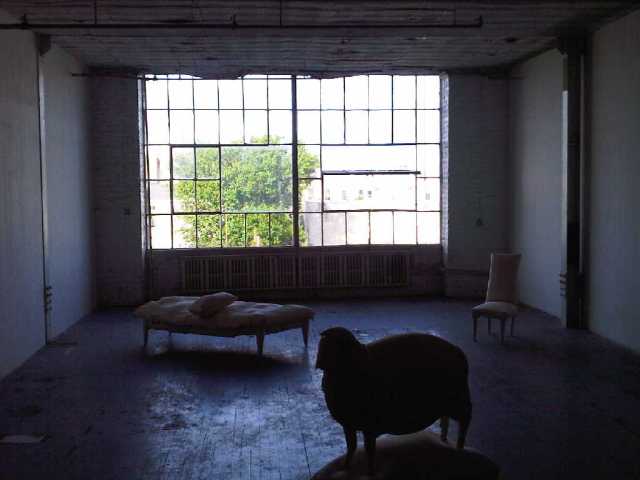 Img00404-20100605-1807