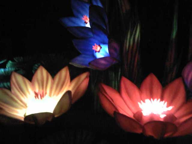 Img00439-20100620-0036