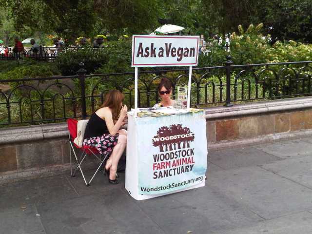 Img00441-20100620-1532