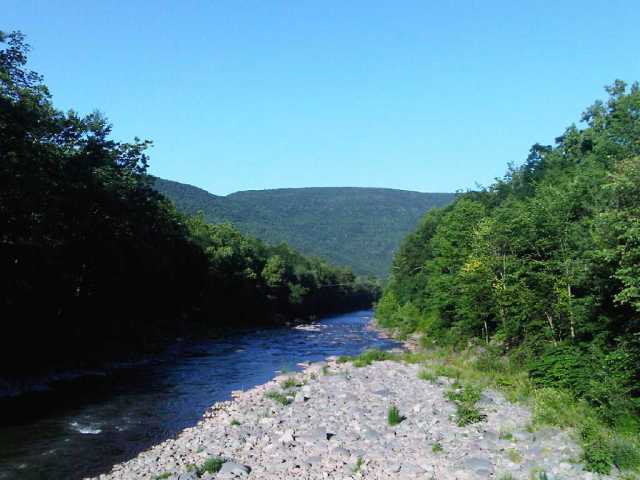 Img00480-20100703-1847