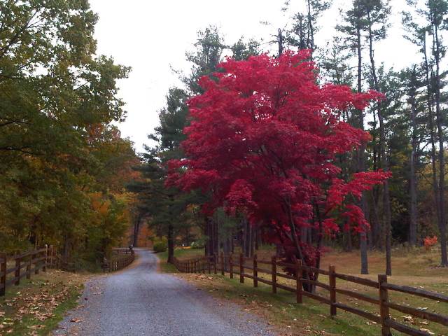 Img00072-20101024-1318