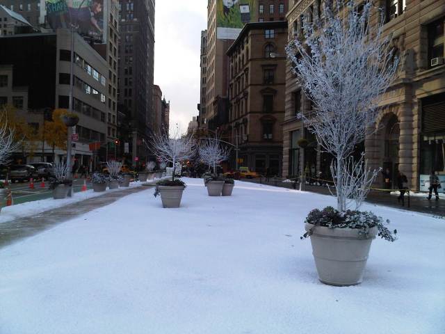 Img00170-20101122-0903