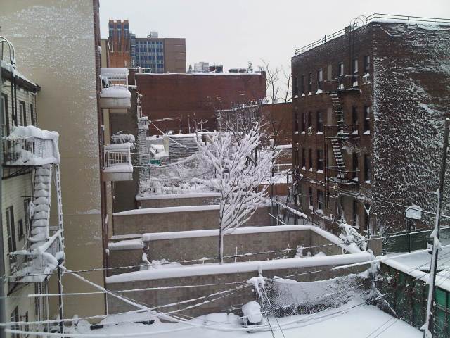 Img00464-20110127-0830