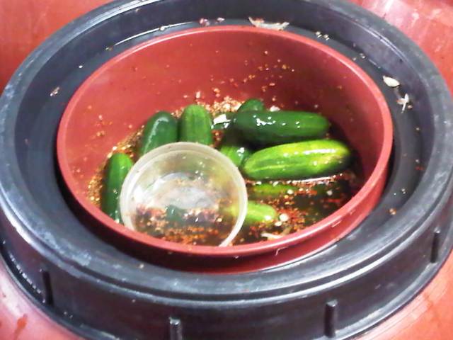 Img00511-20110206-1621