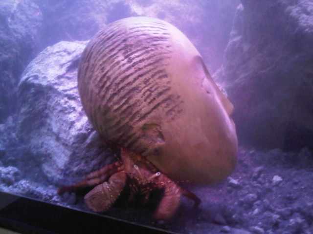 Img00287-20111202-1456