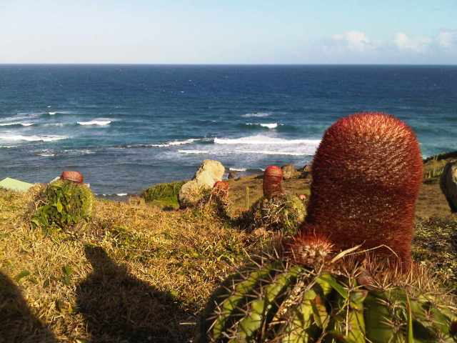 Img00344-20120115-1701